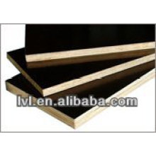 poplar core China construction plywood